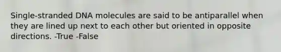 Single-stranded DNA molecules are said to be antiparallel when they are lined up next to each other but oriented in opposite directions. -True -False