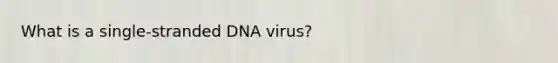 What is a single-stranded DNA virus?