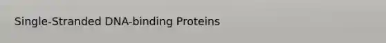 Single-Stranded DNA-binding Proteins