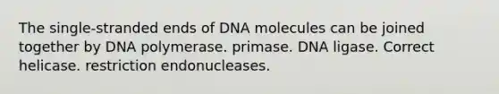 The single-stranded ends of DNA molecules can be joined together by DNA polymerase. primase. DNA ligase. Correct helicase. restriction endonucleases.