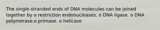 The single-stranded ends of DNA molecules can be joined together by o restriction endonucleases. o DNA ligase. o DNA polymerase.o primase. o helicase