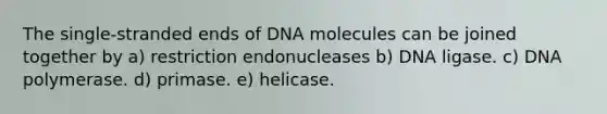 The single-stranded ends of DNA molecules can be joined together by a) restriction endonucleases b) DNA ligase. c) DNA polymerase. d) primase. e) helicase.