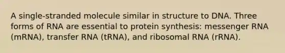 A single-stranded molecule similar in structure to DNA. Three forms of RNA are essential to protein synthesis: messenger RNA (mRNA), transfer RNA (tRNA), and ribosomal RNA (rRNA).