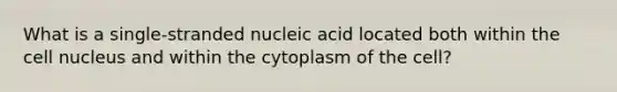 What is a single-stranded nucleic acid located both within the <a href='https://www.questionai.com/knowledge/ksZq6y1LRD-cell-nucleus' class='anchor-knowledge'>cell nucleus</a> and within the cytoplasm of the cell?