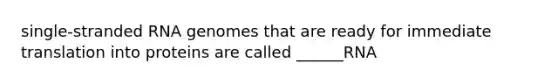 single-stranded RNA genomes that are ready for immediate translation into proteins are called ______RNA