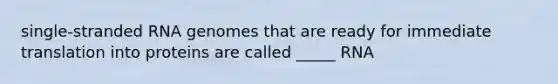 single-stranded RNA genomes that are ready for immediate translation into proteins are called _____ RNA