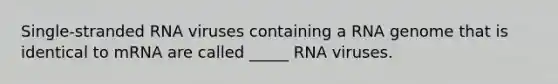 Single-stranded RNA viruses containing a RNA genome that is identical to mRNA are called _____ RNA viruses.