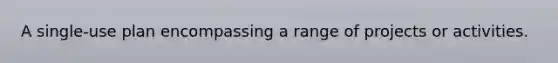 A single-use plan encompassing a range of projects or activities.