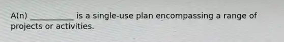 A(n) ___________ is a single-use plan encompassing a range of projects or activities.