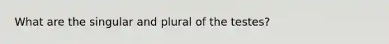 What are the singular and plural of the testes?