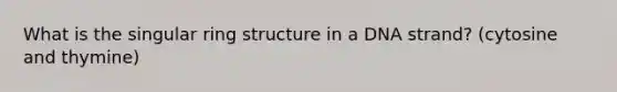 What is the singular ring structure in a DNA strand? (cytosine and thymine)