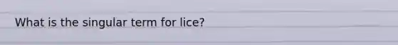 What is the singular term for lice?