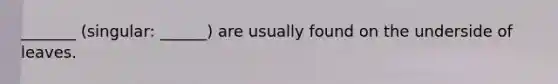 _______ (singular: ______) are usually found on the underside of leaves.