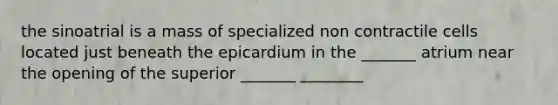 the sinoatrial is a mass of specialized non contractile cells located just beneath the epicardium in the _______ atrium near the opening of the superior _______ ________