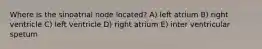 Where is the sinoatrial node located? A) left atrium B) right ventricle C) left ventricle D) right atrium E) inter ventricular spetum