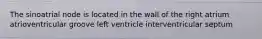 The sinoatrial node is located in the wall of the right atrium atrioventricular groove left ventricle interventricular septum