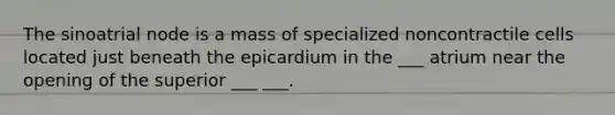 The sinoatrial node is a mass of specialized noncontractile cells located just beneath the epicardium in the ___ atrium near the opening of the superior ___ ___.