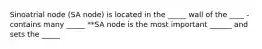 Sinoatrial node (SA node) is located in the _____ wall of the ____ -contains many _____ **SA node is the most important ______ and sets the _____