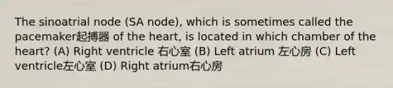 The sinoatrial node (SA node), which is sometimes called the pacemaker起搏器 of the heart, is located in which chamber of the heart? (A) Right ventricle 右心室 (B) Left atrium 左心房 (C) Left ventricle左心室 (D) Right atrium右心房