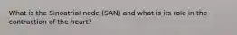 What is the Sinoatrial node (SAN) and what is its role in the contraction of the heart?