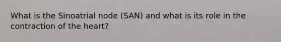 What is the Sinoatrial node (SAN) and what is its role in the contraction of the heart?