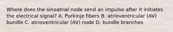 Where does the sinoatrial node send an impulse after it initiates the electrical signal? A. Purkinje fibers B. atrioventricular (AV) bundle C. atrioventricular (AV) node D. bundle branches