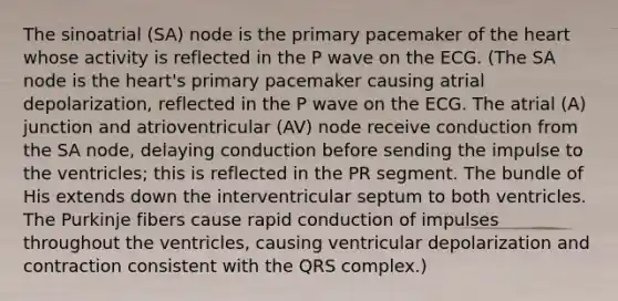 The sinoatrial (SA) node is the primary pacemaker of the heart whose activity is reflected in the P wave on the ECG. (The SA node is the heart's primary pacemaker causing atrial depolarization, reflected in the P wave on the ECG. The atrial (A) junction and atrioventricular (AV) node receive conduction from the SA node, delaying conduction before sending the impulse to the ventricles; this is reflected in the PR segment. The bundle of His extends down the interventricular septum to both ventricles. The Purkinje fibers cause rapid conduction of impulses throughout the ventricles, causing ventricular depolarization and contraction consistent with the QRS complex.)