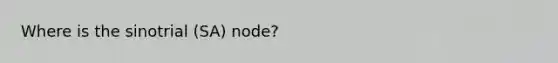 Where is the sinotrial (SA) node?