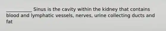 ___________ Sinus is the cavity within the kidney that contains blood and <a href='https://www.questionai.com/knowledge/ki6sUebkzn-lymphatic-vessels' class='anchor-knowledge'>lymphatic vessels</a>, nerves, urine collecting ducts and fat