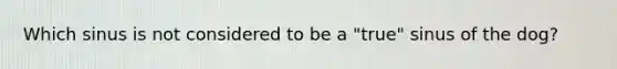 Which sinus is not considered to be a "true" sinus of the dog?