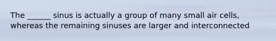 The ______ sinus is actually a group of many small air cells, whereas the remaining sinuses are larger and interconnected