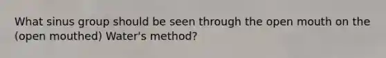 What sinus group should be seen through the open mouth on the (open mouthed) Water's method?