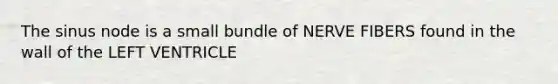 The sinus node is a small bundle of NERVE FIBERS found in the wall of the LEFT VENTRICLE