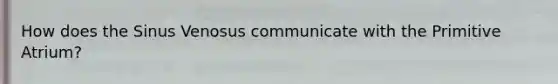 How does the Sinus Venosus communicate with the Primitive Atrium?