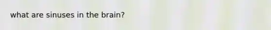 what are sinuses in <a href='https://www.questionai.com/knowledge/kLMtJeqKp6-the-brain' class='anchor-knowledge'>the brain</a>?