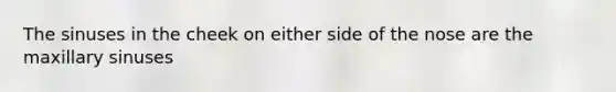 The sinuses in the cheek on either side of the nose are the maxillary sinuses