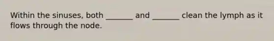 Within the sinuses, both _______ and _______ clean the lymph as it flows through the node.