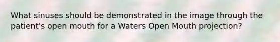 What sinuses should be demonstrated in the image through the patient's open mouth for a Waters Open Mouth projection?