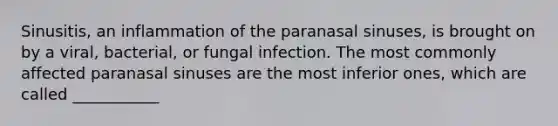 Sinusitis, an inflammation of the paranasal sinuses, is brought on by a viral, bacterial, or fungal infection. The most commonly affected paranasal sinuses are the most inferior ones, which are called ___________