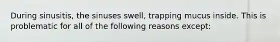 During sinusitis, the sinuses swell, trapping mucus inside. This is problematic for all of the following reasons except: