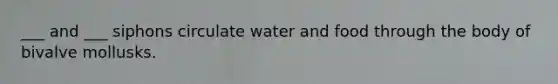 ___ and ___ siphons circulate water and food through the body of bivalve mollusks.