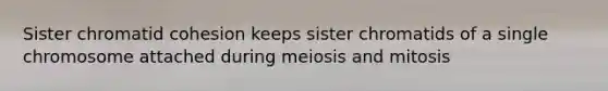 Sister chromatid cohesion keeps sister chromatids of a single chromosome attached during meiosis and mitosis