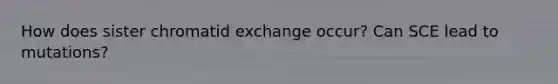 How does sister chromatid exchange occur? Can SCE lead to mutations?