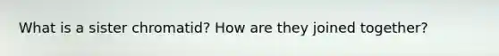 What is a sister chromatid? How are they joined together?