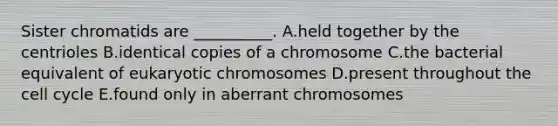 Sister chromatids are __________. A.held together by the centrioles B.identical copies of a chromosome C.the bacterial equivalent of eukaryotic chromosomes D.present throughout the cell cycle E.found only in aberrant chromosomes