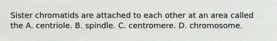 Sister chromatids are attached to each other at an area called the A. centriole. B. spindle. C. centromere. D. chromosome.