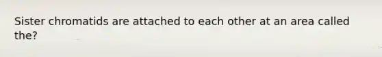 Sister chromatids are attached to each other at an area called the?