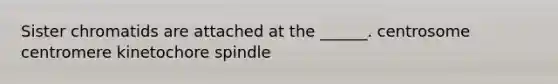 Sister chromatids are attached at the ______. centrosome centromere kinetochore spindle