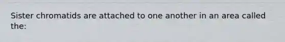 Sister chromatids are attached to one another in an area called the: