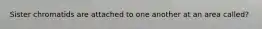 Sister chromatids are attached to one another at an area called?